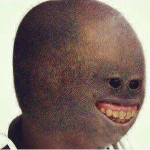 Meet your Posher, Theo